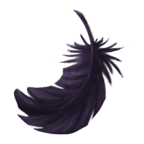 FEATHER3