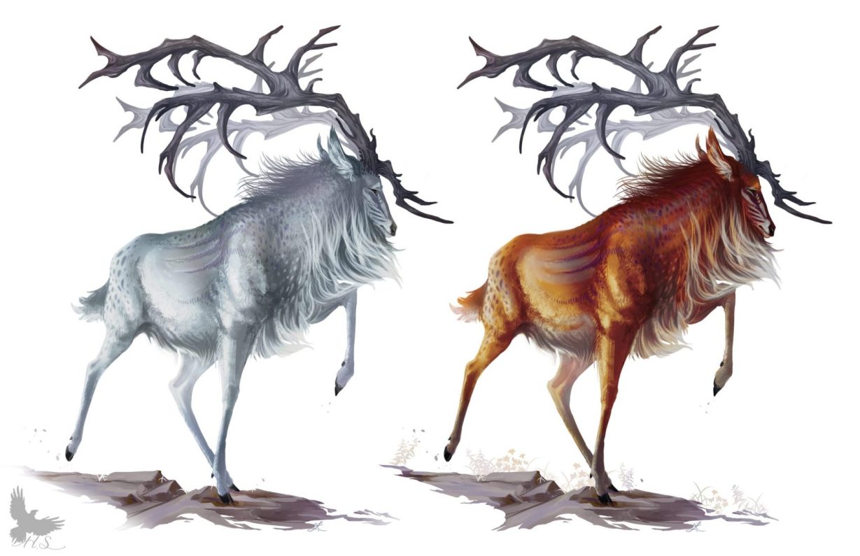 Ojeku Stag of Caligo