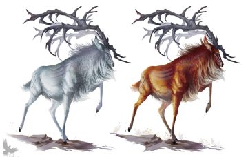 Ojeku Stag of Caligo