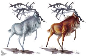 Ojeku Stag of Caligo