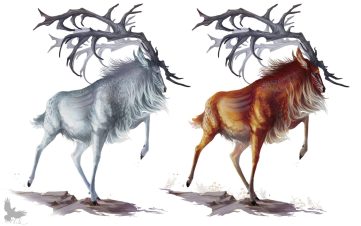 Ojeku Stag of Caligo